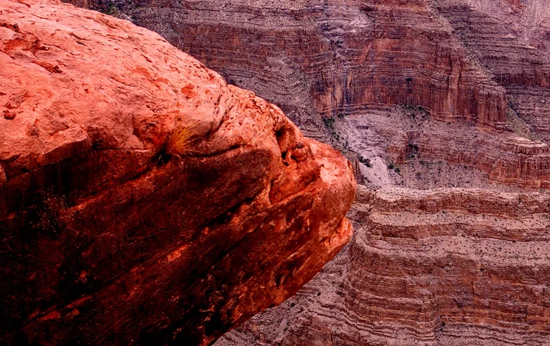 Nature's art
