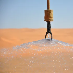 Desert Water