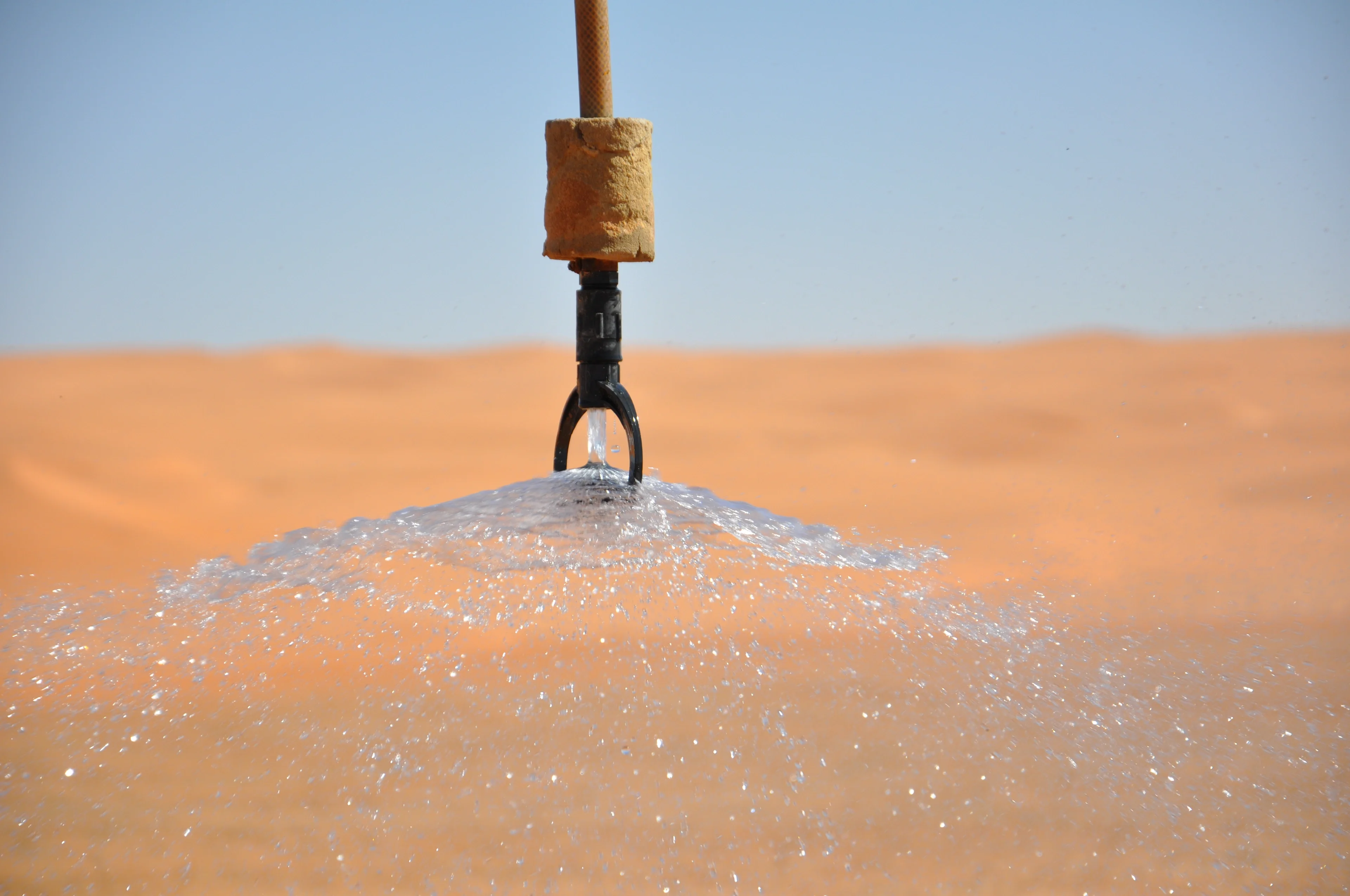 Desert Water