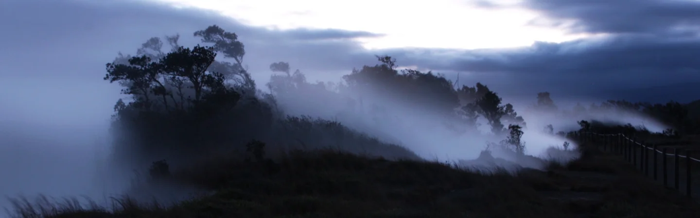 Steam Bluffs