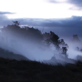 Steam Bluffs