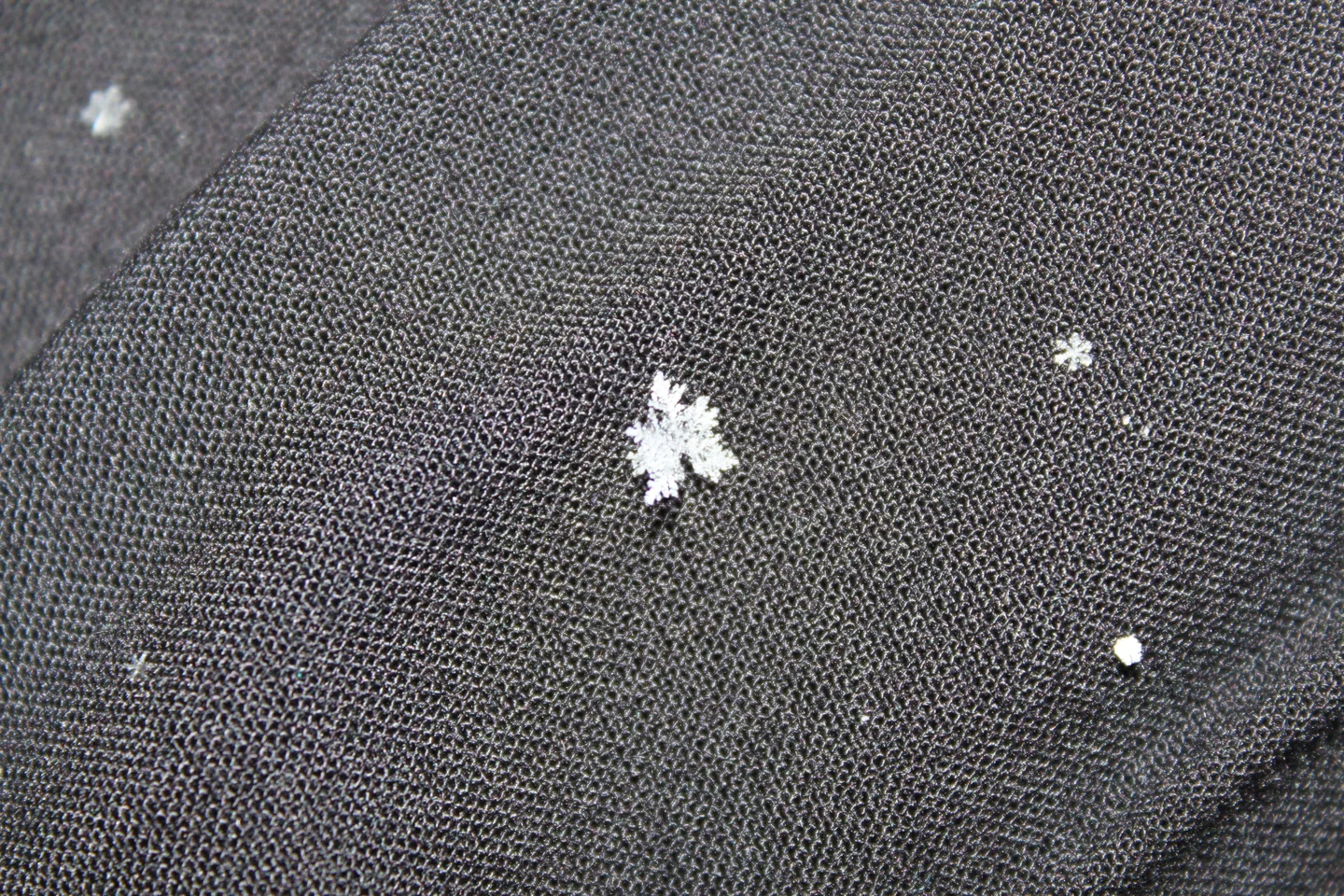 Snow crystals on a piece of cloth