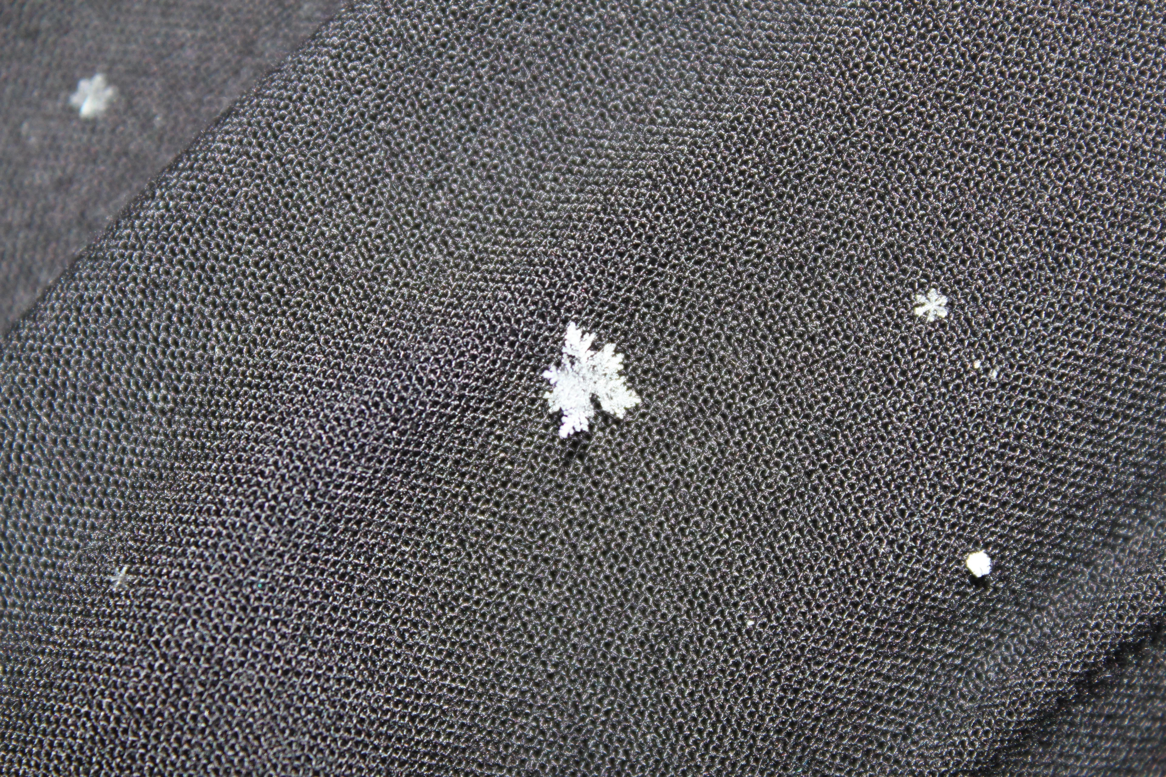 Snow crystals on a piece of cloth