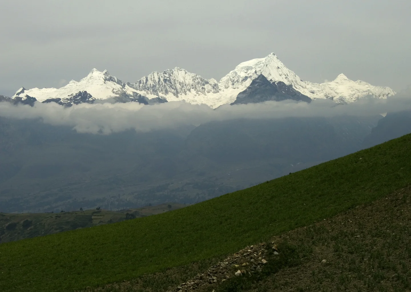 Last peruvian glaciers