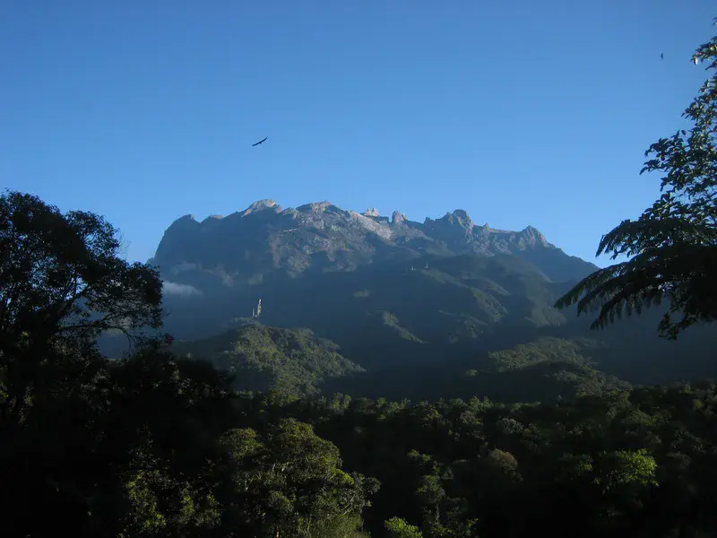 Mount Kinabalu from Base Camp