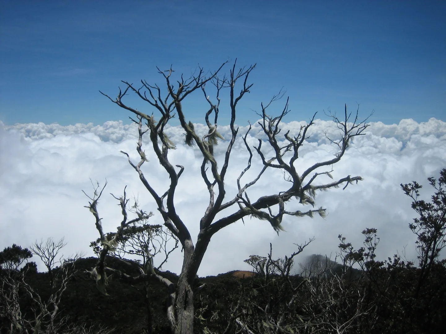 Above the clouds