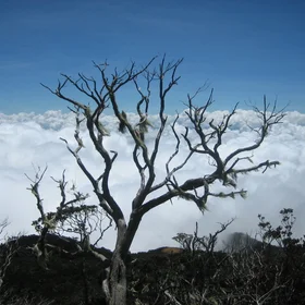 Above the clouds