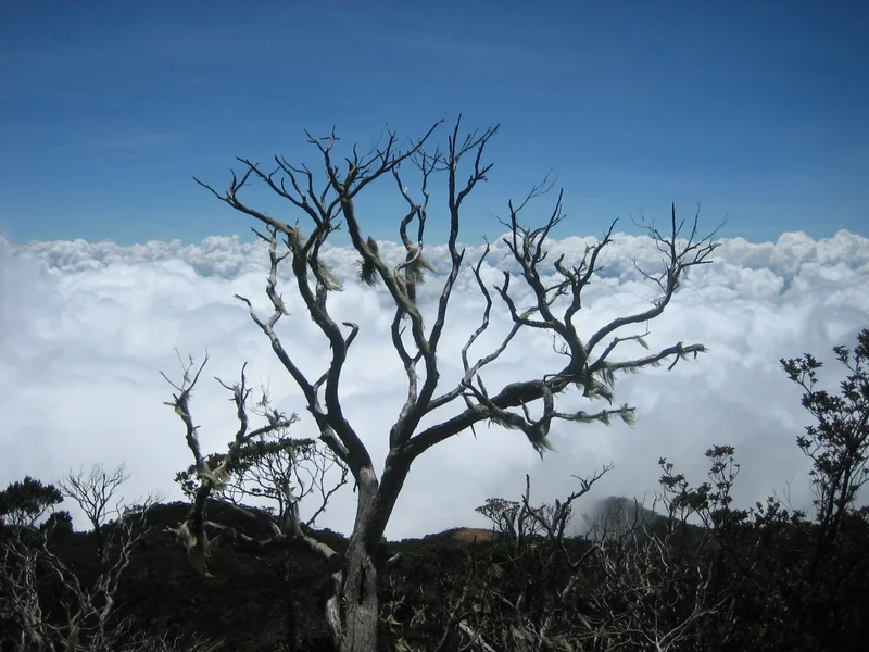 Above the clouds