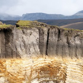 Paramo soil