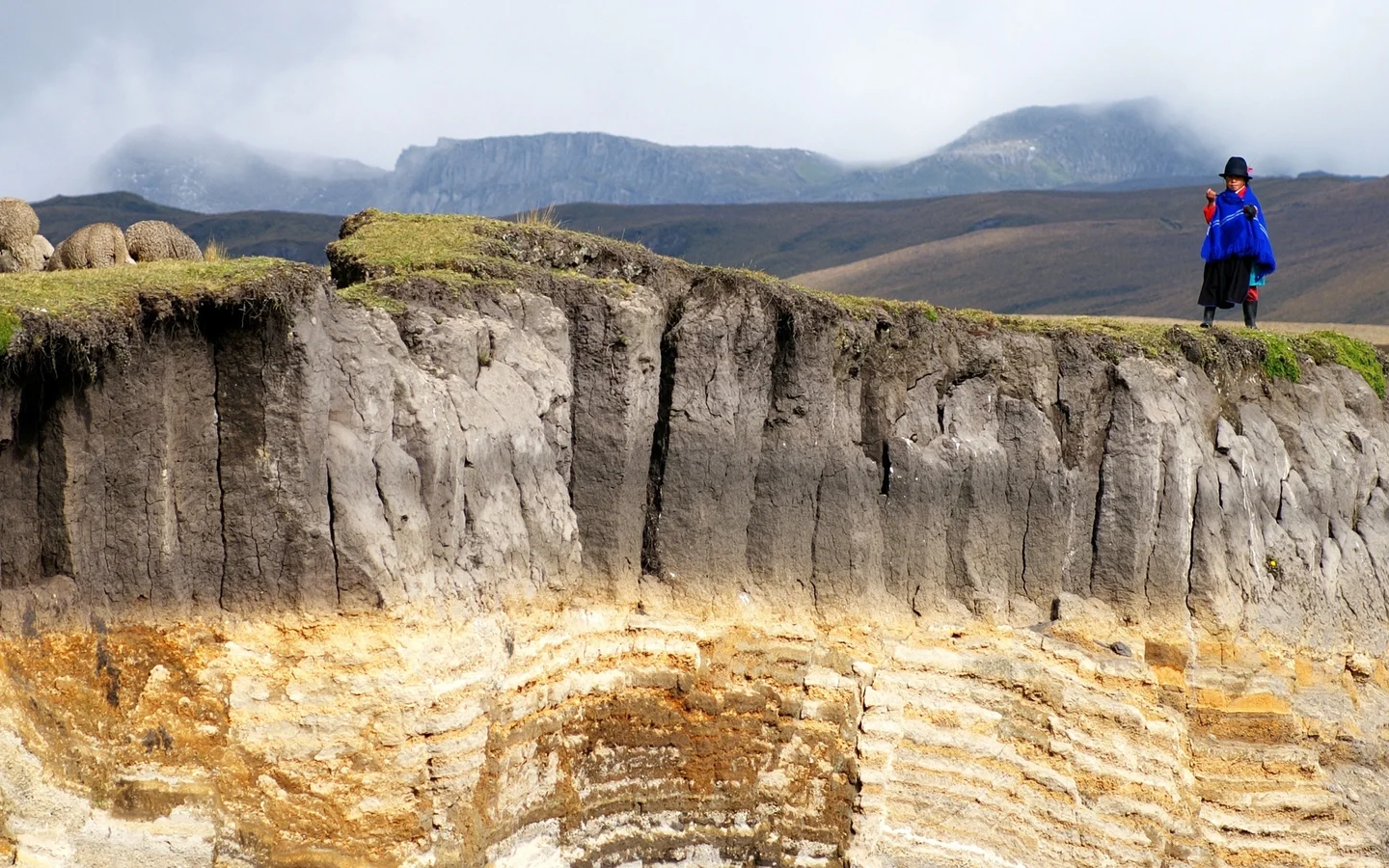 Paramo soil