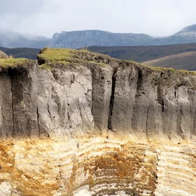 Paramo soil