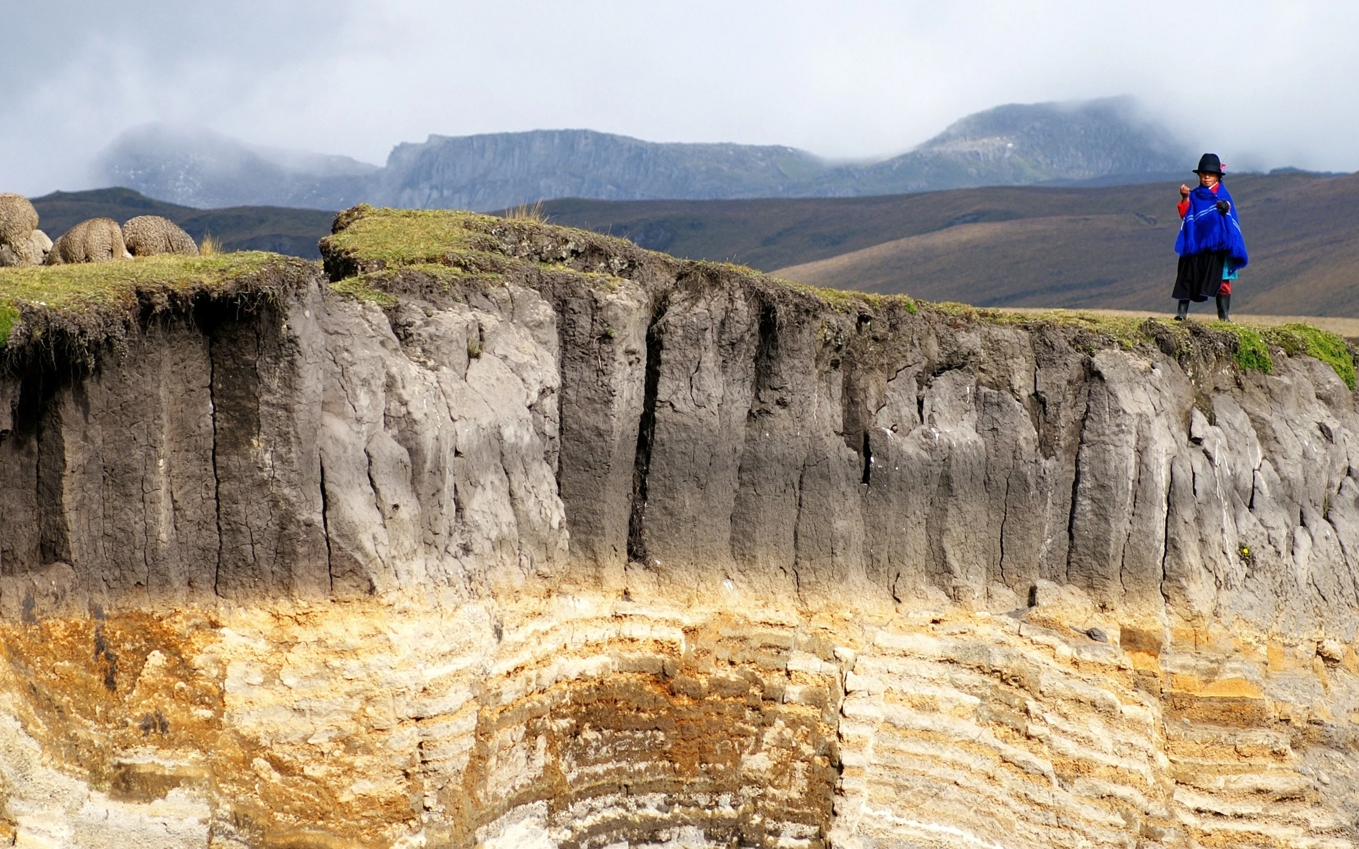 Paramo soil