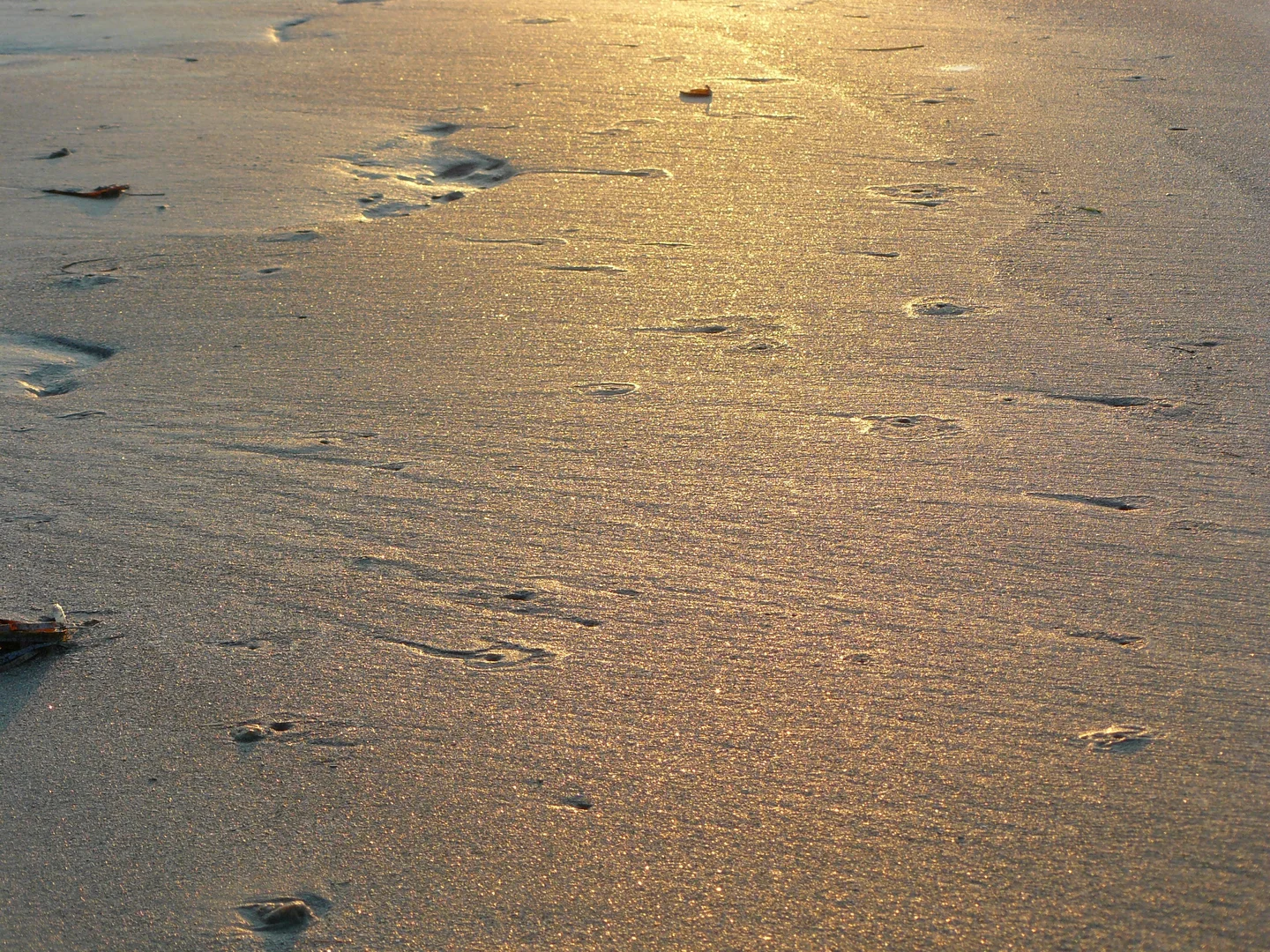 Wet sand in sunset