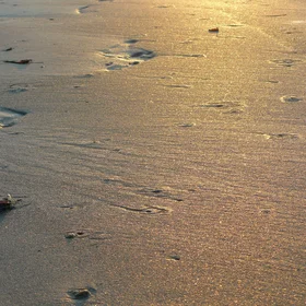 Wet sand in sunset