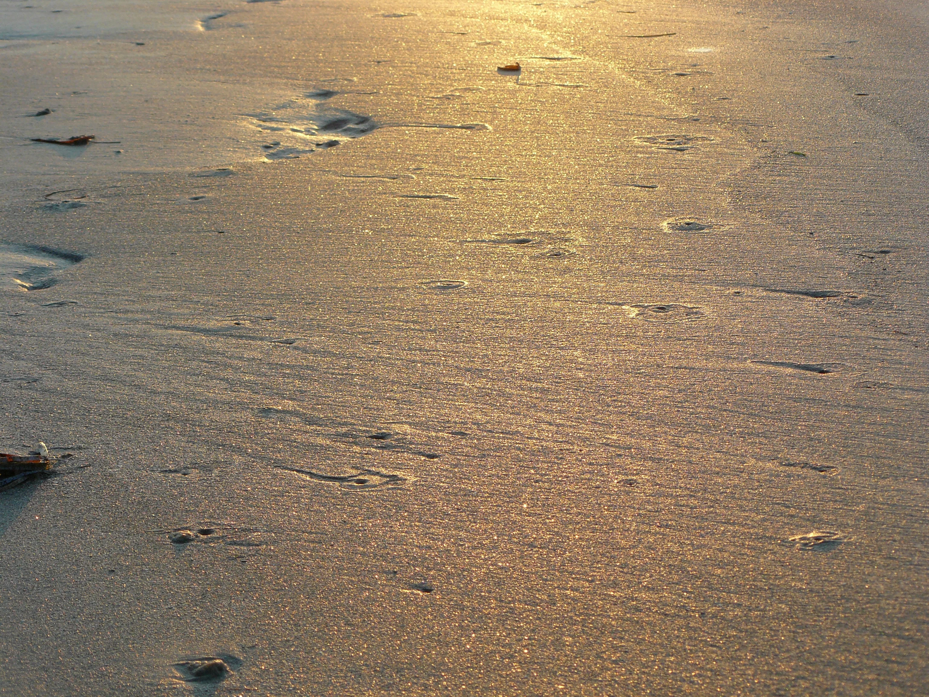 Wet sand in sunset