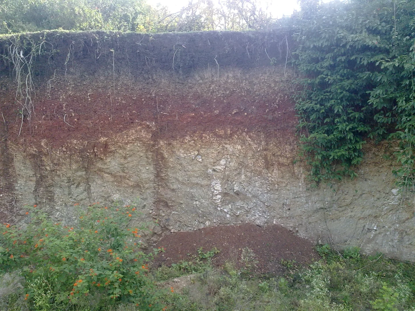 Soil type layers