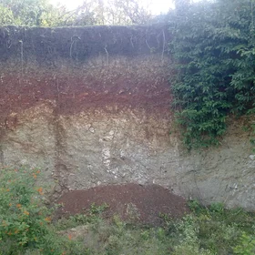 Soil type layers