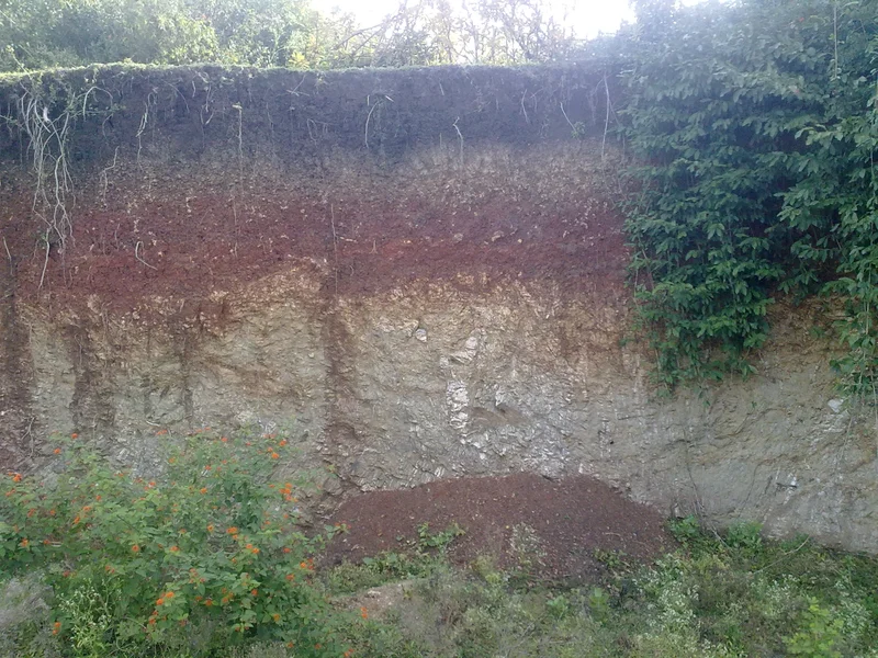Soil type layers