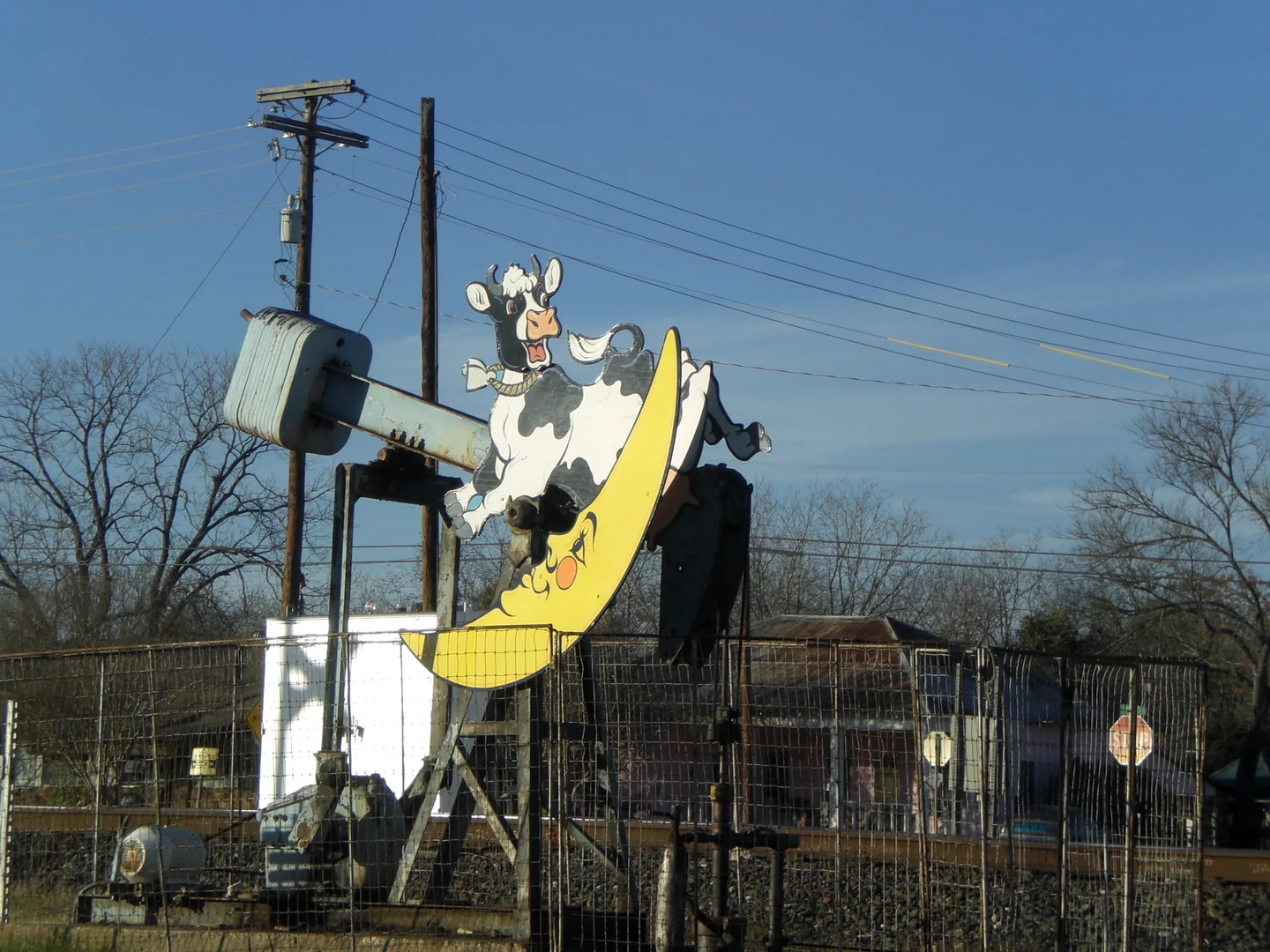 The Cow jumped over the Moon