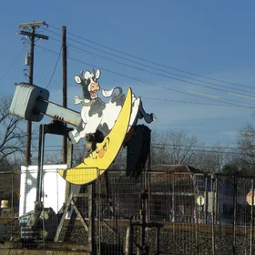 The Cow jumped over the Moon