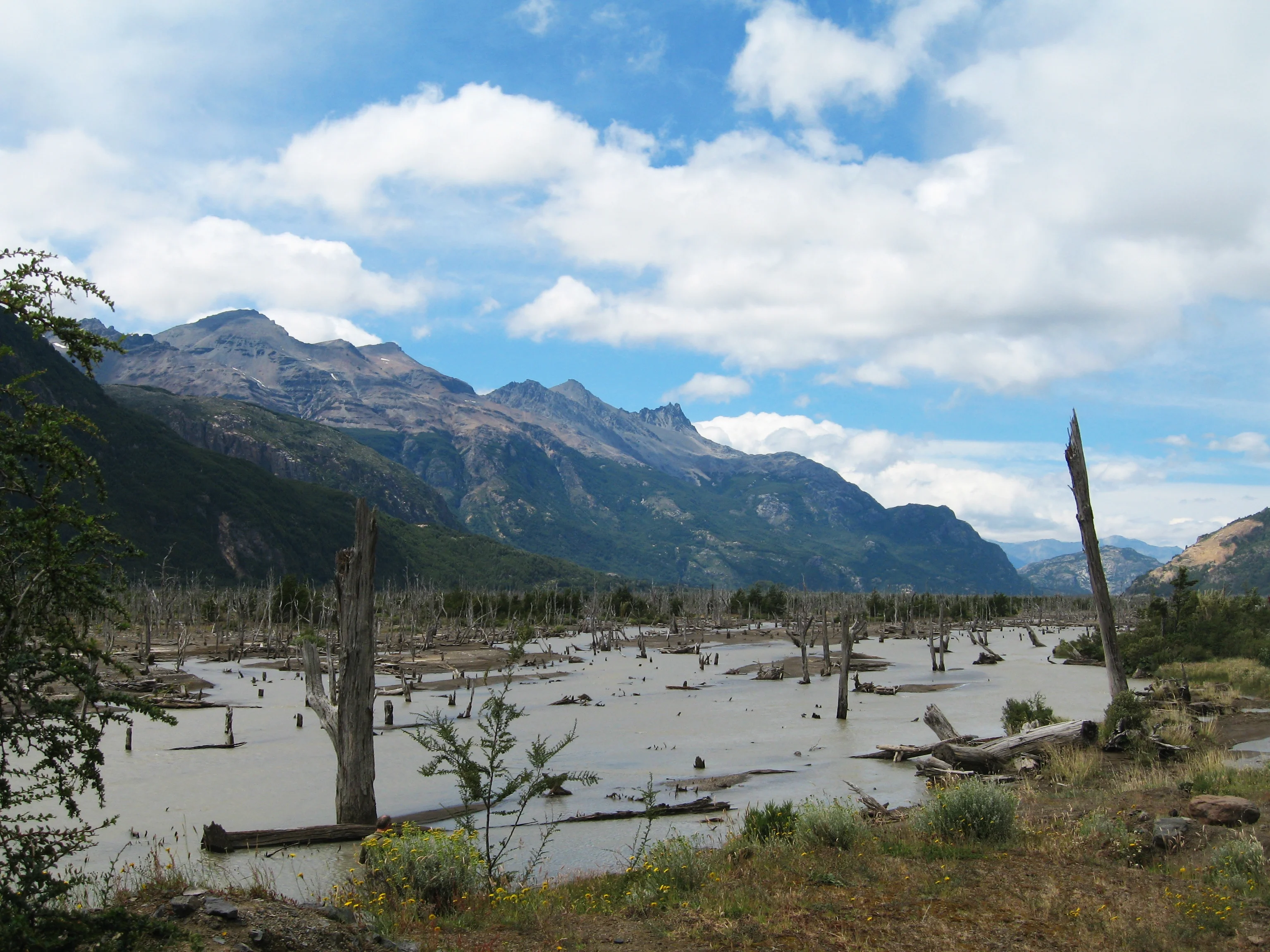 Patagonian landscape