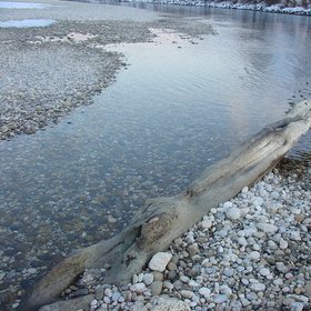 Riverbed