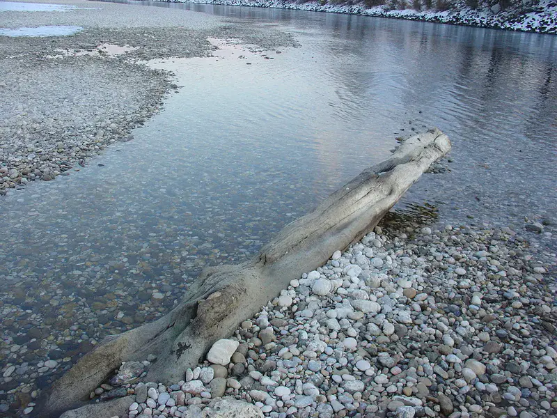 Riverbed