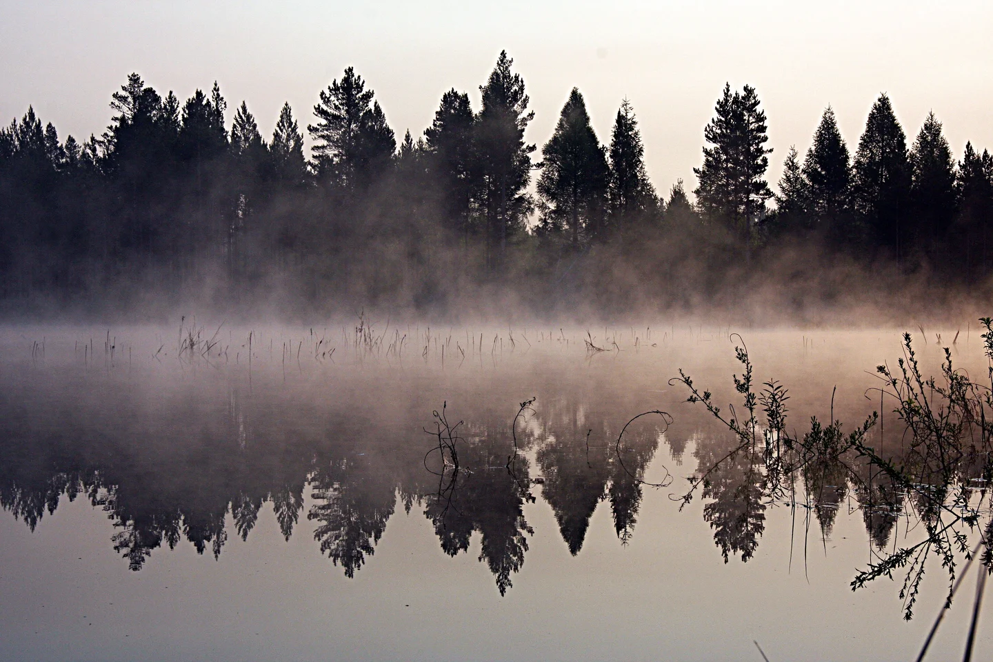 Taiga lake, East Siberia