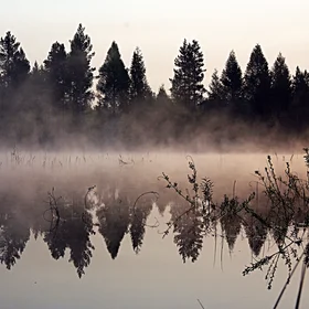 Taiga lake, East Siberia