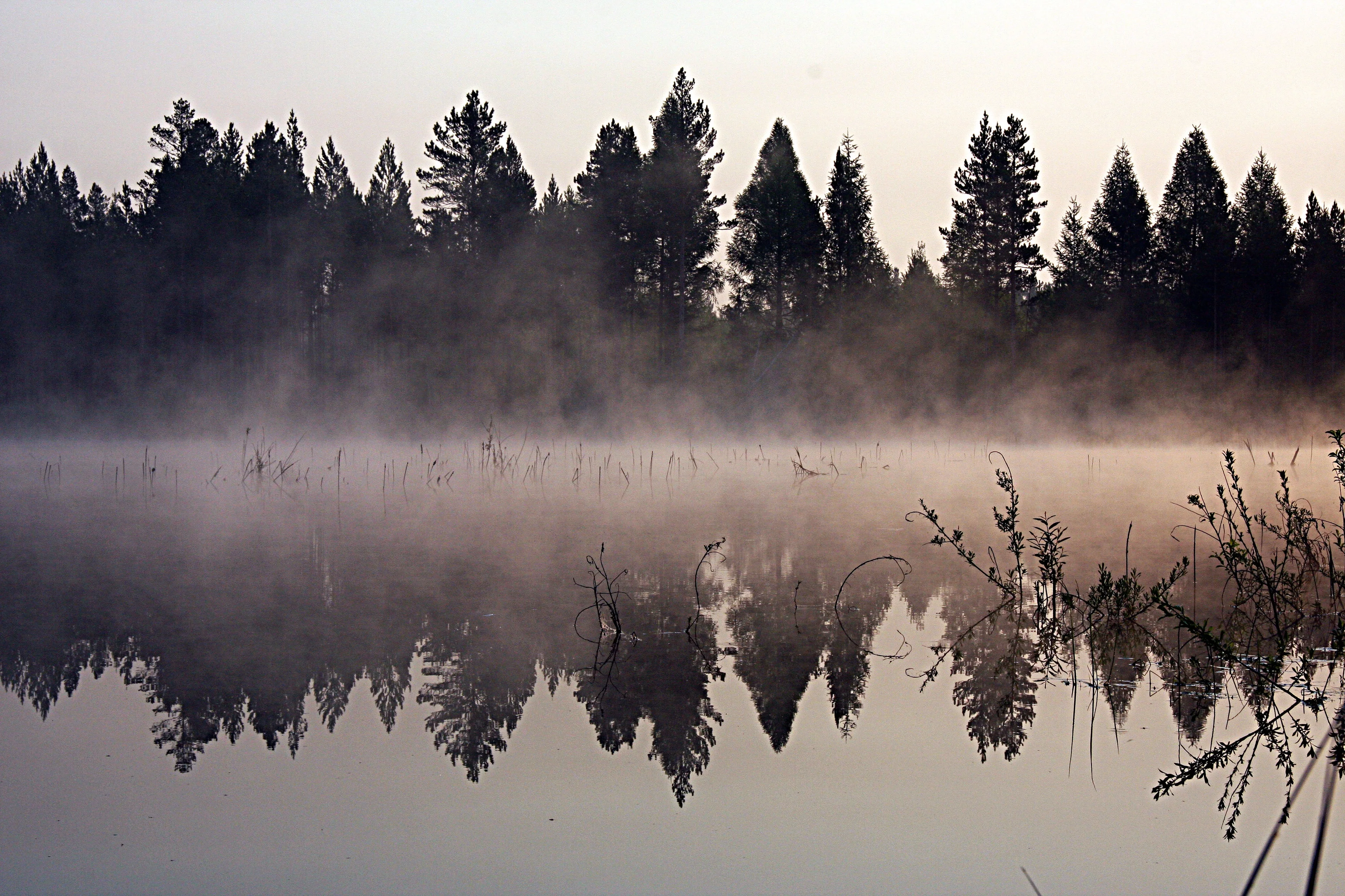 Taiga lake, East Siberia
