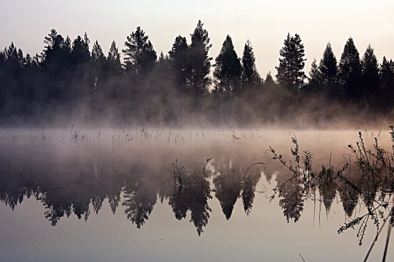 Taiga lake, East Siberia