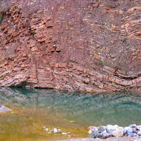 Find the fossil