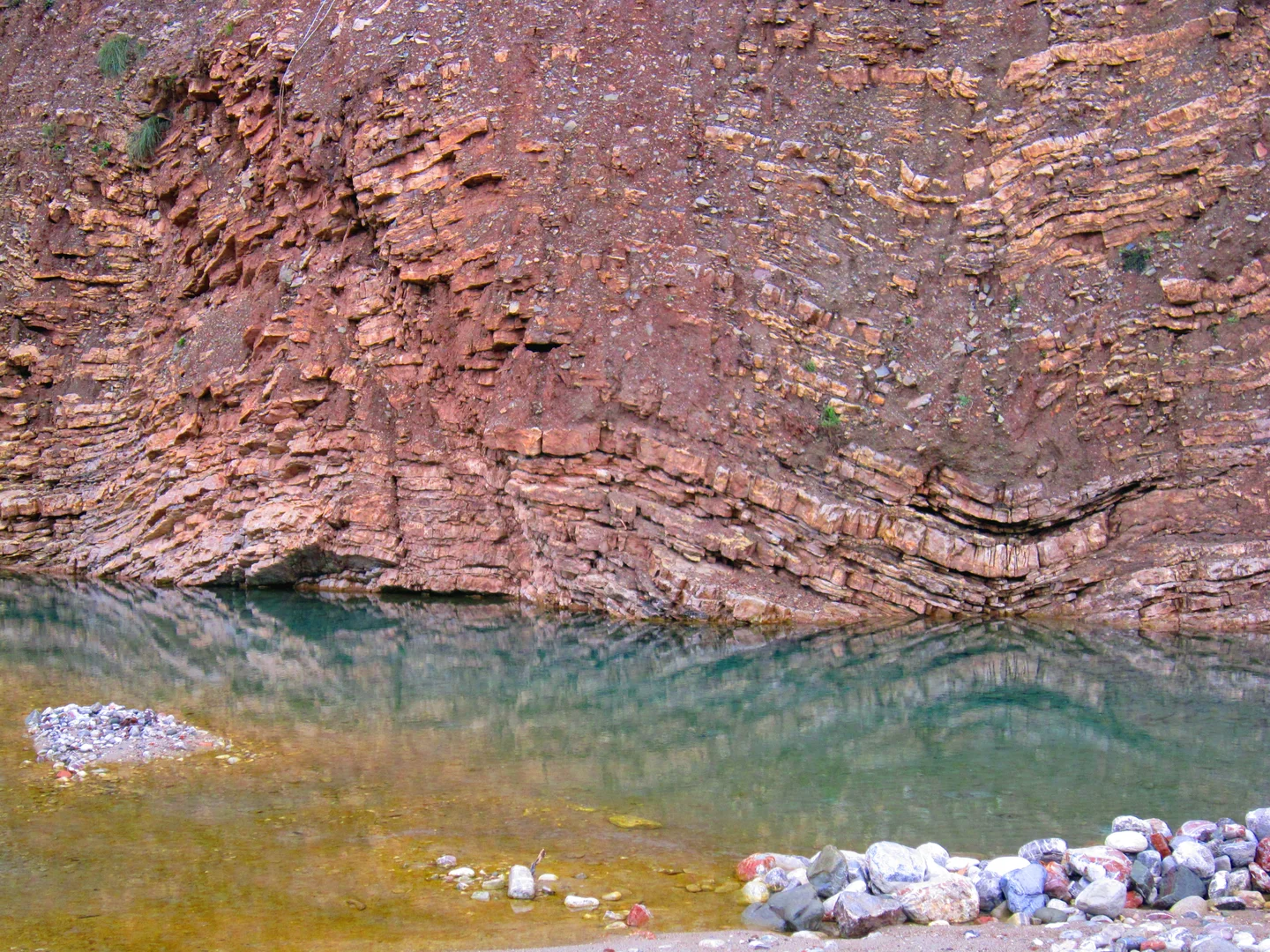 Find the fossil