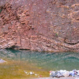 Find the fossil