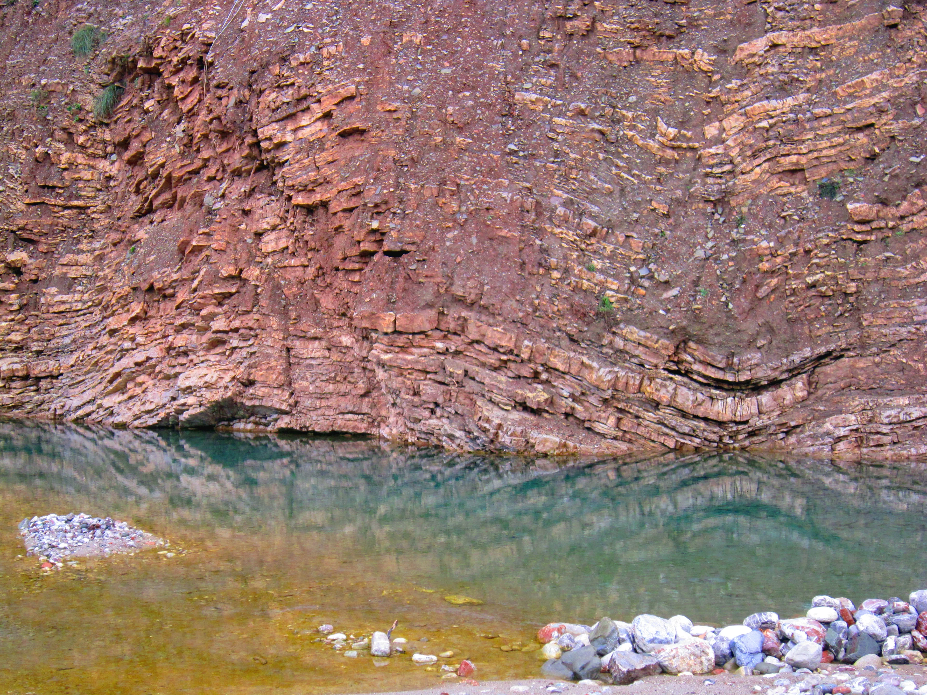 Find the fossil