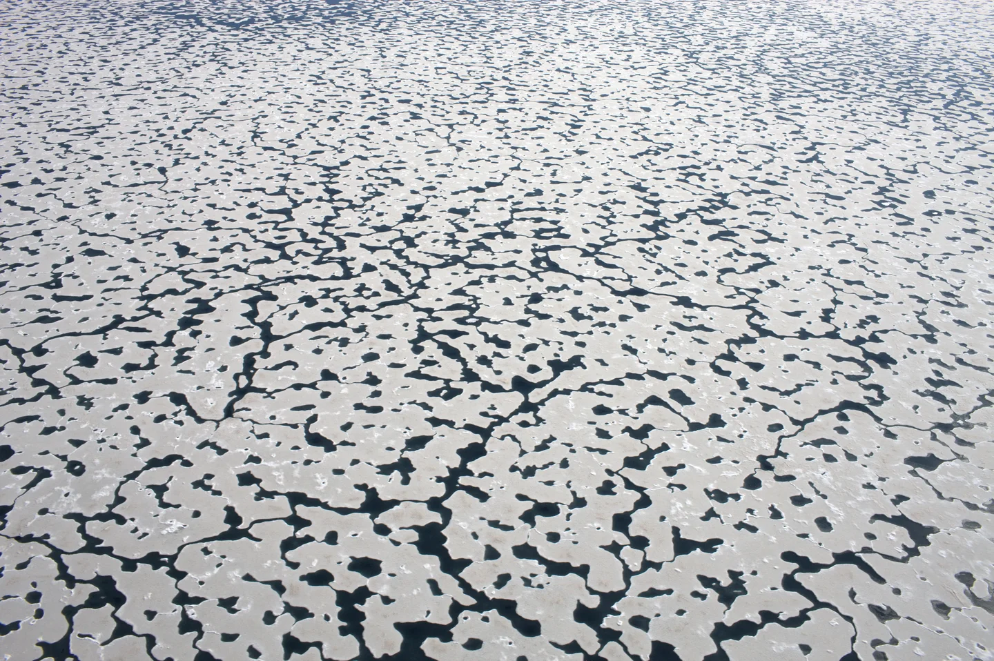 Dissolving Ice