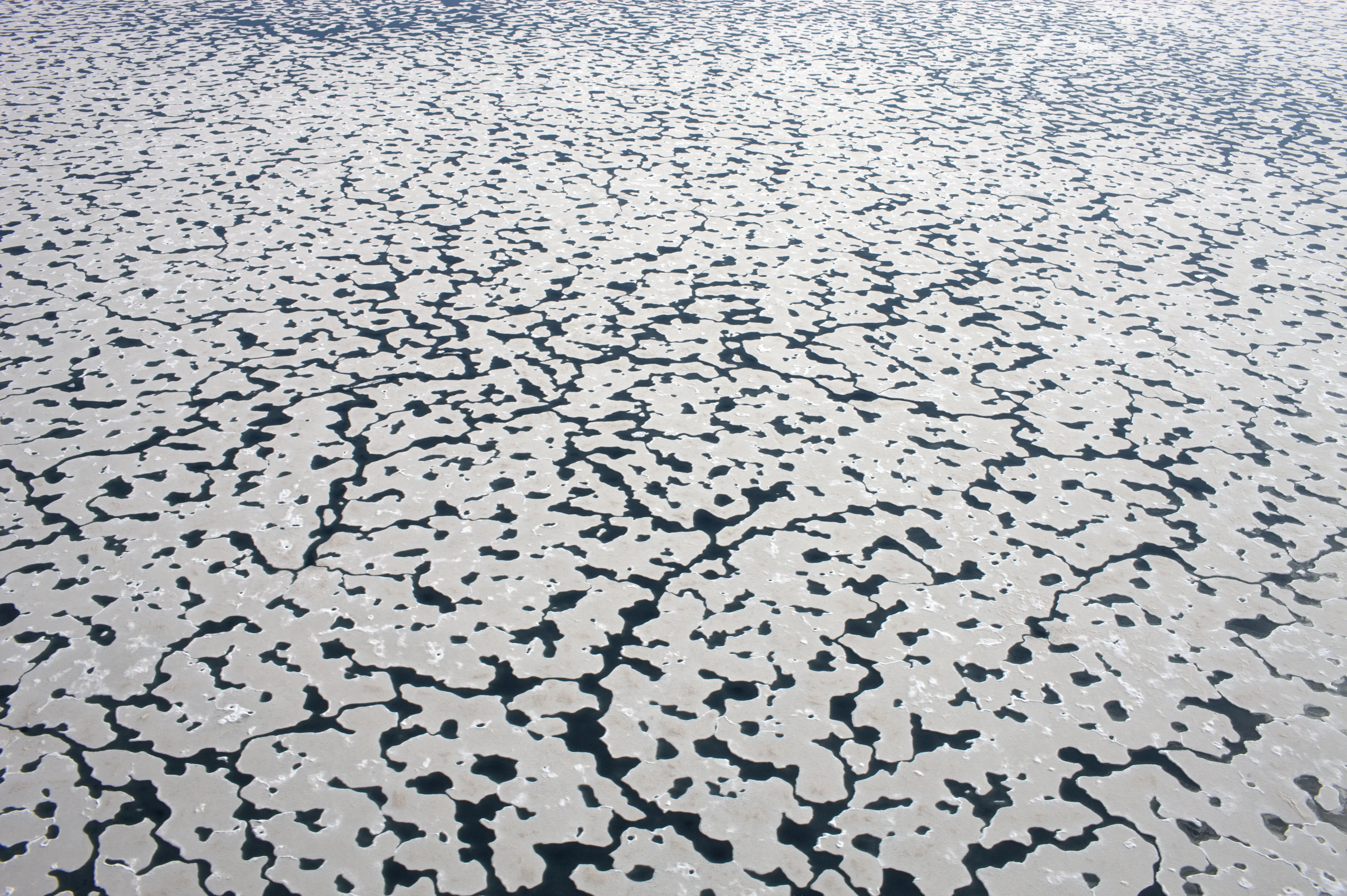 Dissolving Ice