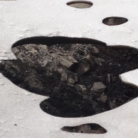 Bigfoot...?