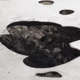 Bigfoot...?