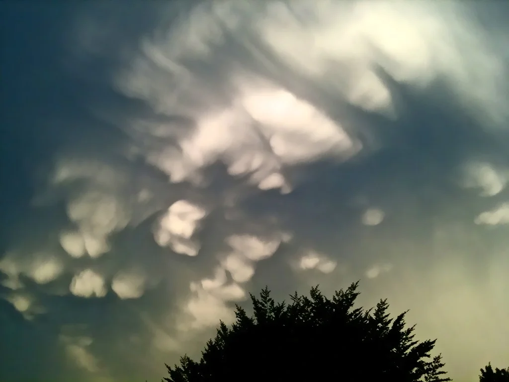 Cumulonimbus mammatus