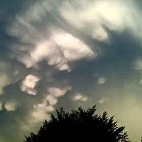 Cumulonimbus mammatus