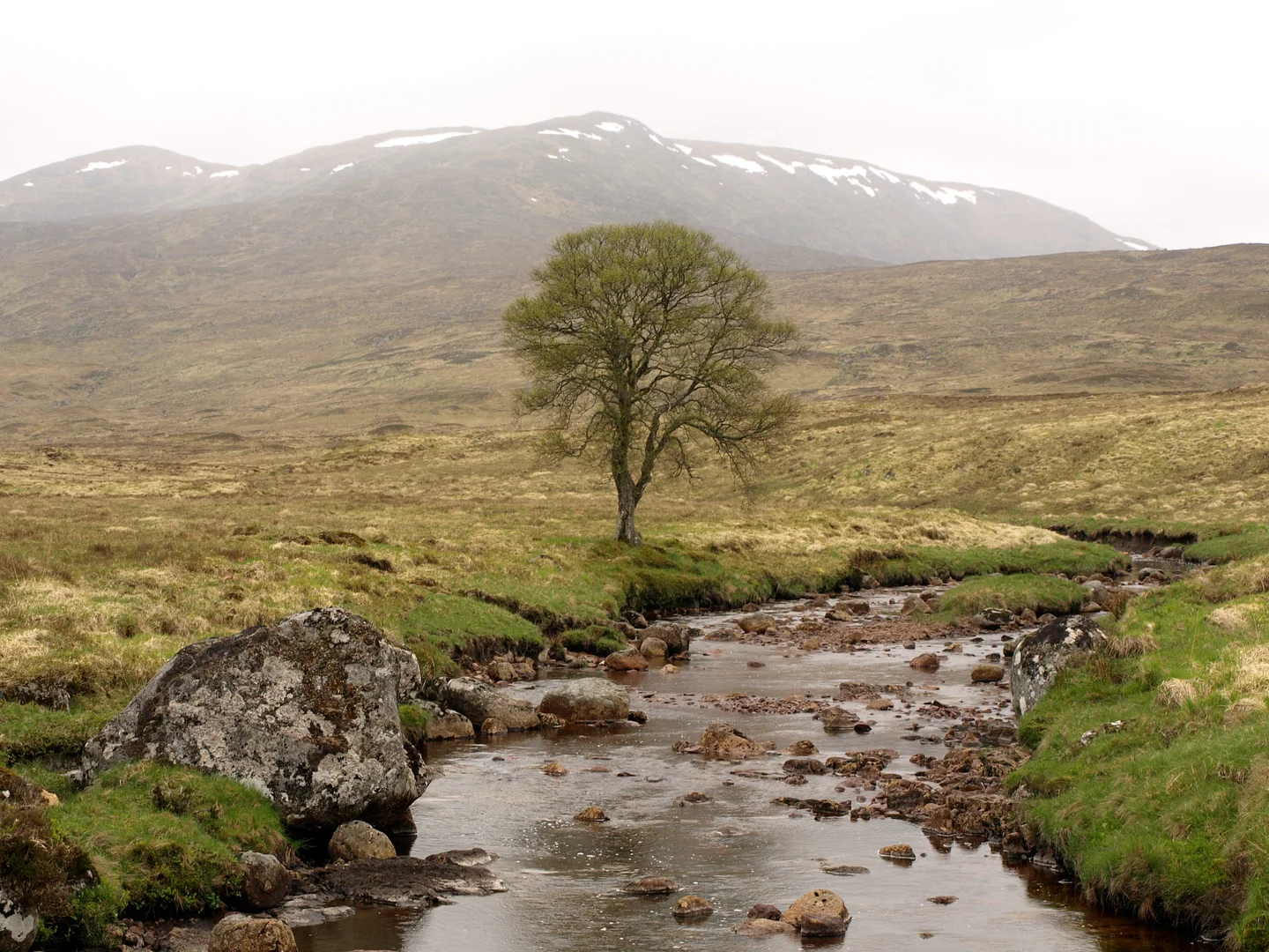 Rannoch Moor