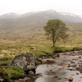 Rannoch Moor