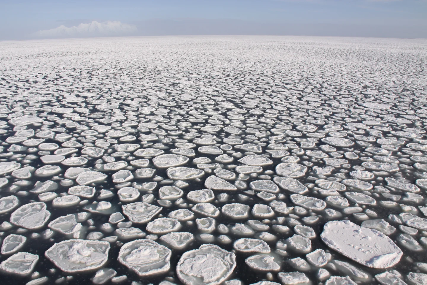 Pancake Ice