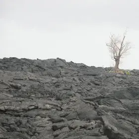 Lava field in Hawaii