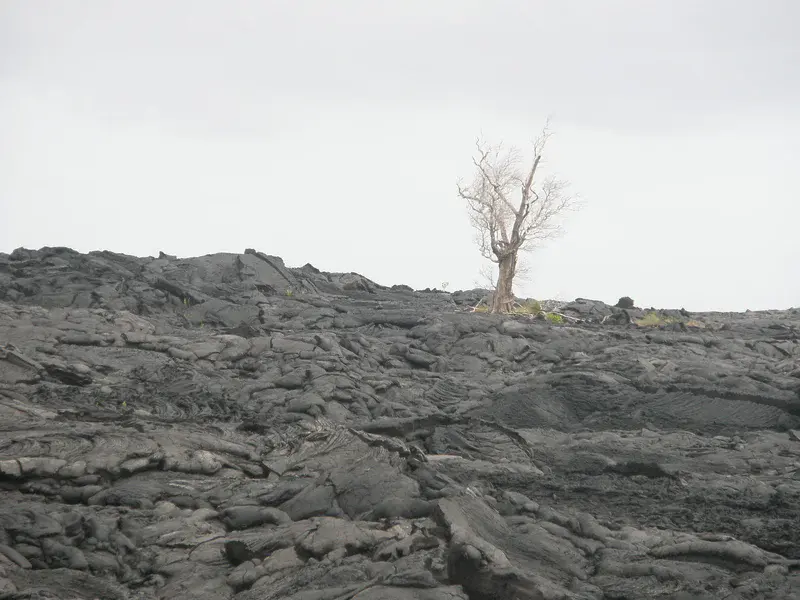 Lava field in Hawaii