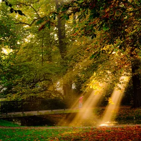 Light Reflection
