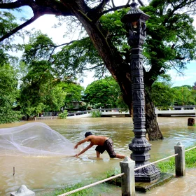 Flooded Mekong