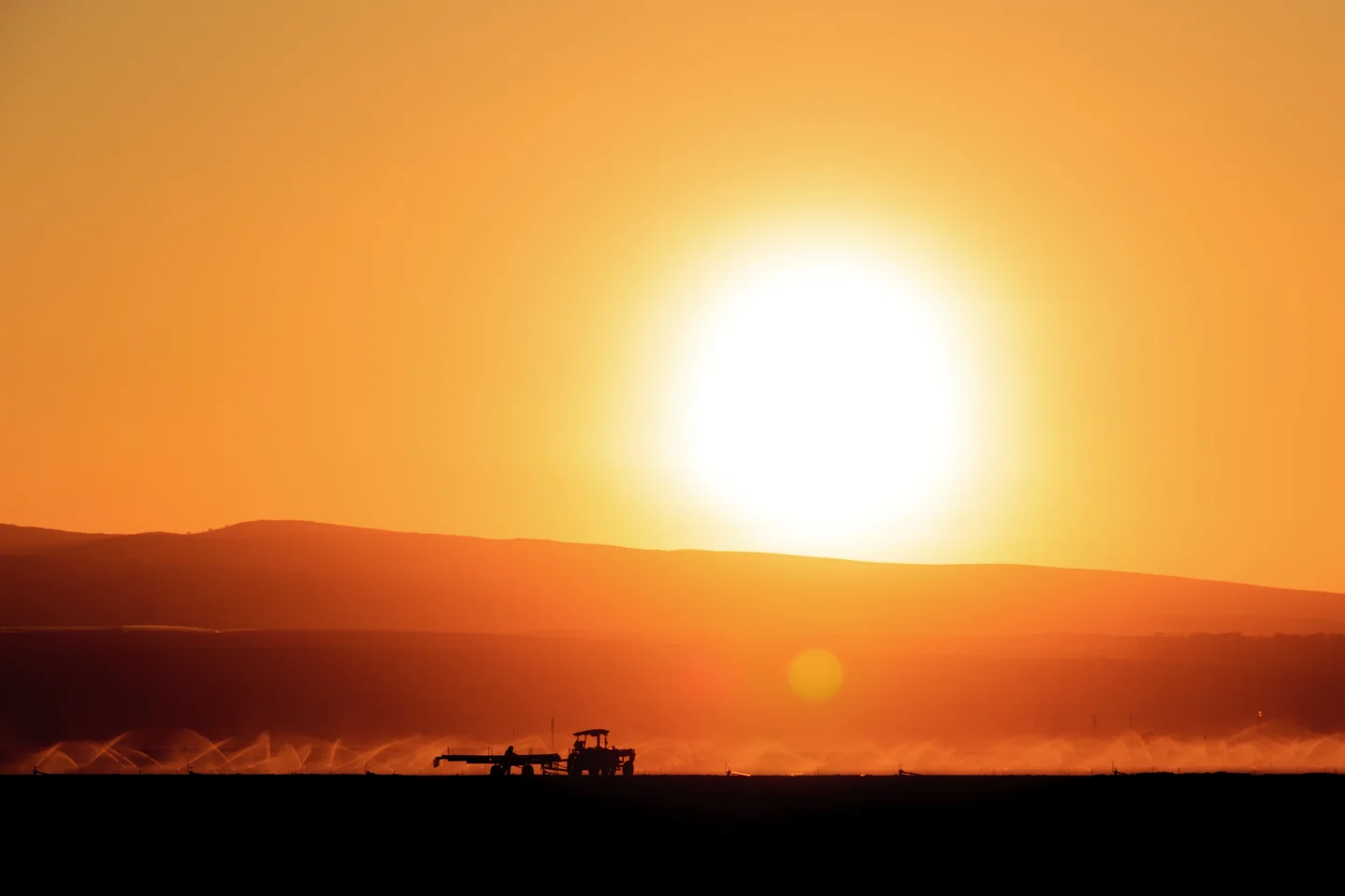 Sunset Agriculture
