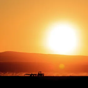 Sunset Agriculture